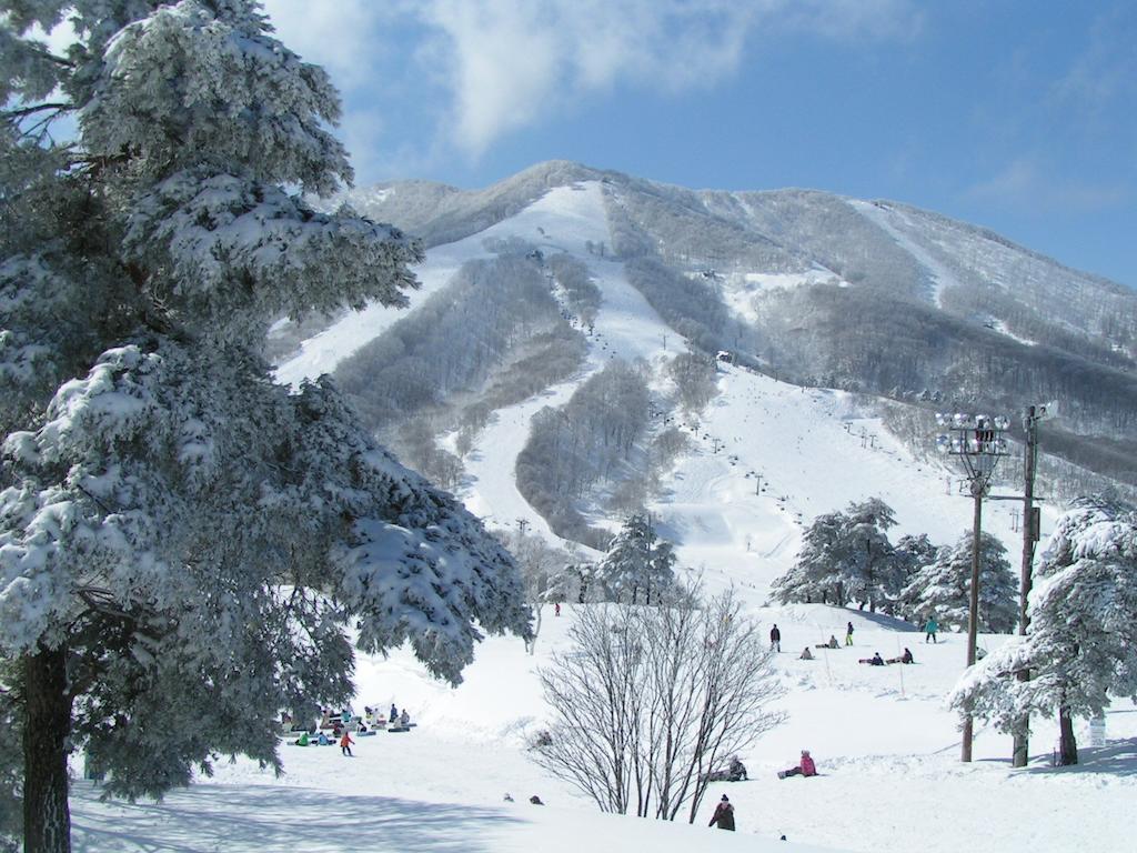 Madarao Elm Pension Iiyama Exterior photo