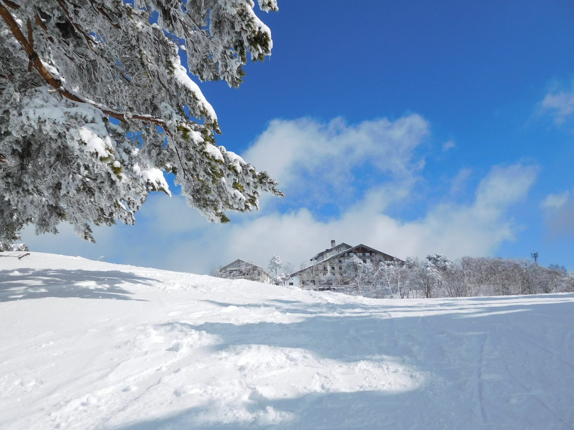 Madarao Elm Pension Iiyama Exterior photo